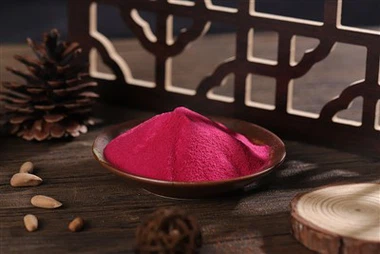 Polvere naturale di Pitaya